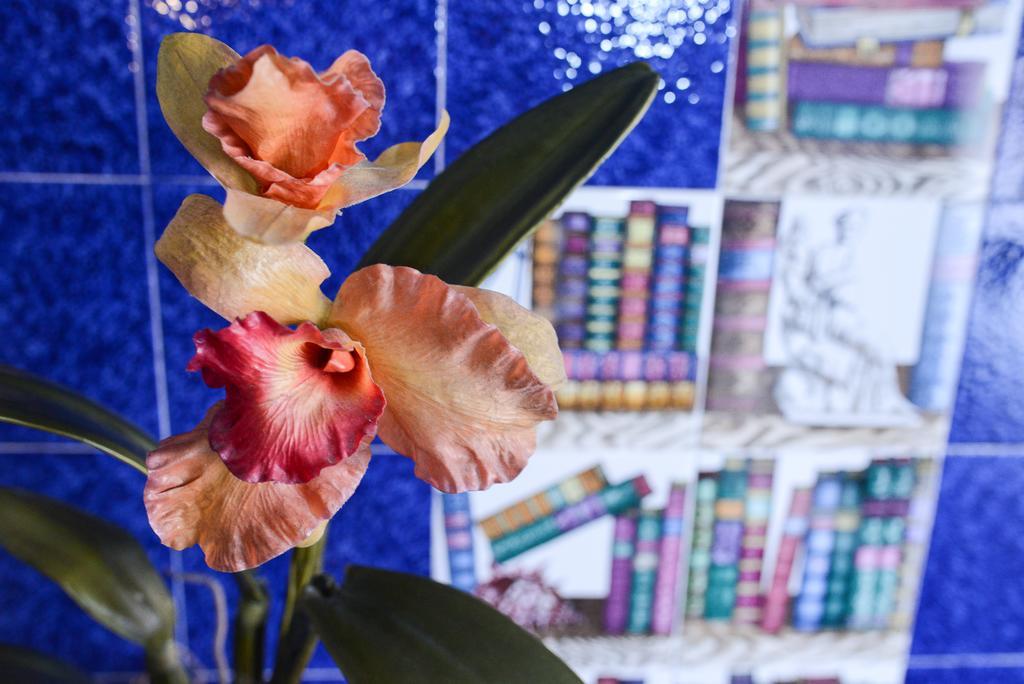 B&B Casa Felice Roma Dış mekan fotoğraf